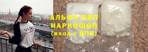 твердый Новозыбков