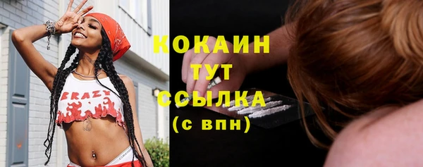 твердый Новозыбков