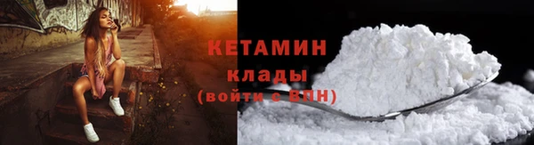 твердый Новозыбков