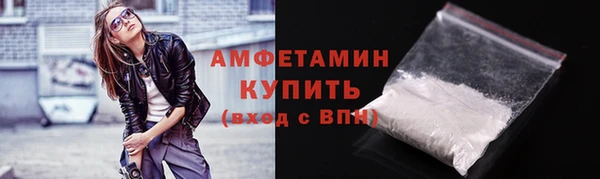 твердый Новозыбков