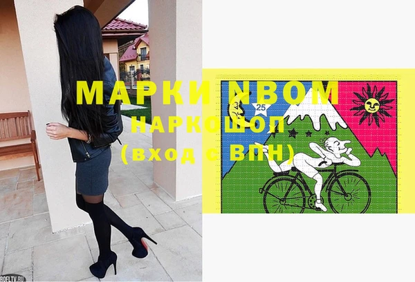 твердый Новозыбков