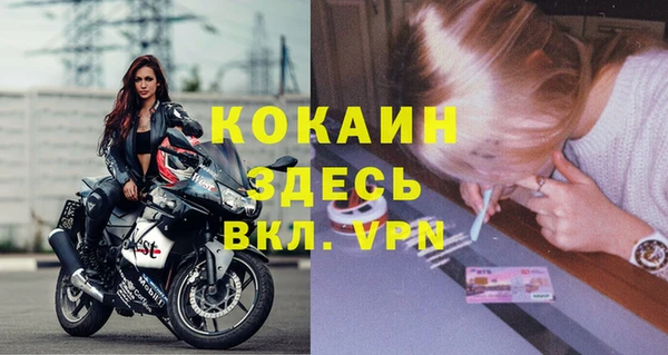 твердый Новозыбков
