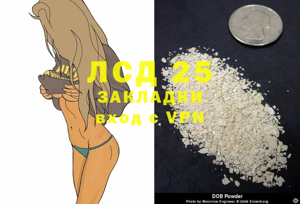 амф Новокубанск