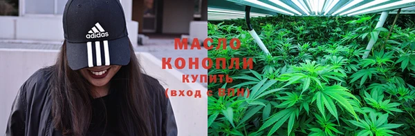 твердый Новозыбков