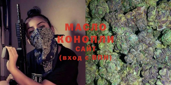 твердый Новозыбков