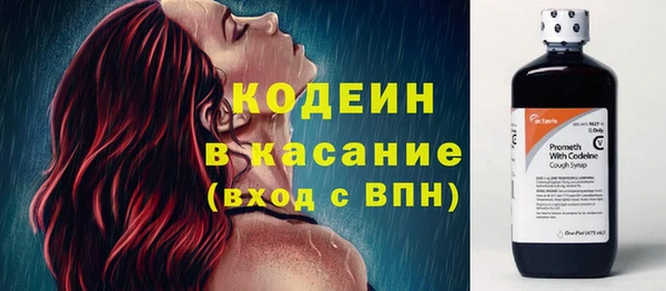 твердый Новозыбков