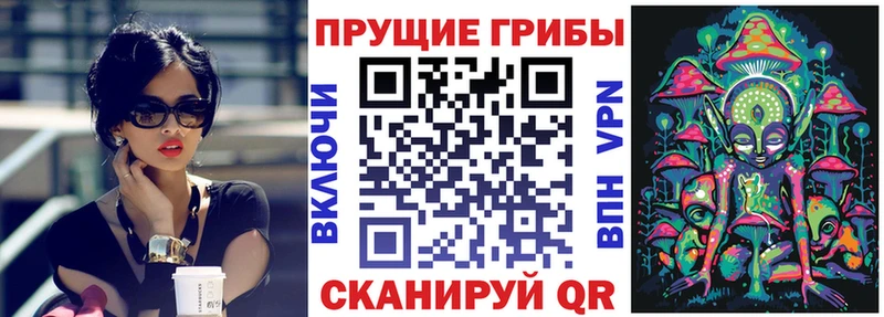 Купить где  Славск  Псилоцибиновые грибы MAGIC MUSHROOMS 